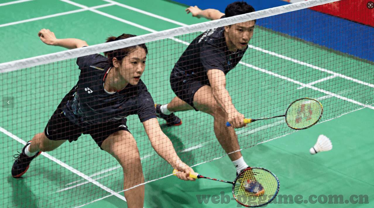 ODDSportal安装包-探索ODDSportal的全新体验，安装包详解与指南